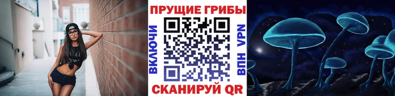 Псилоцибиновые грибы мухоморы  Иланский 